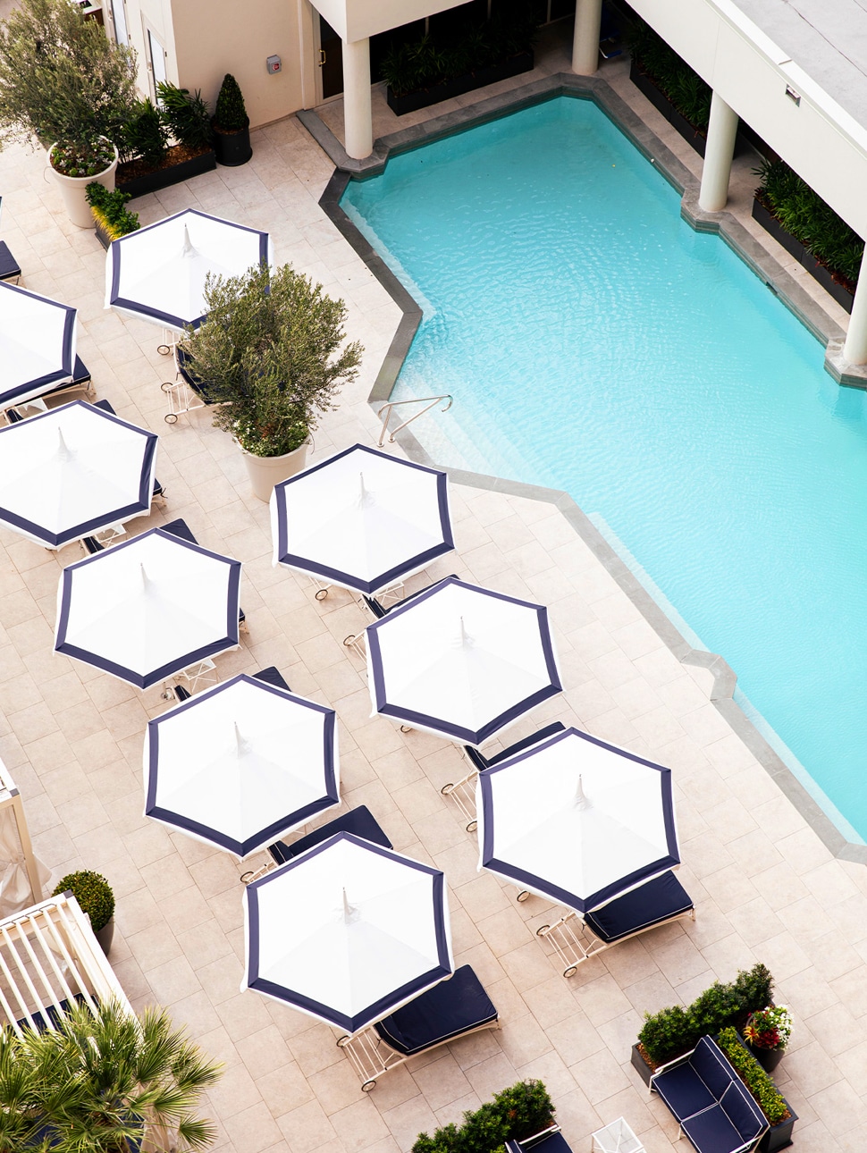 Rooftop Pool | The Windsor Court